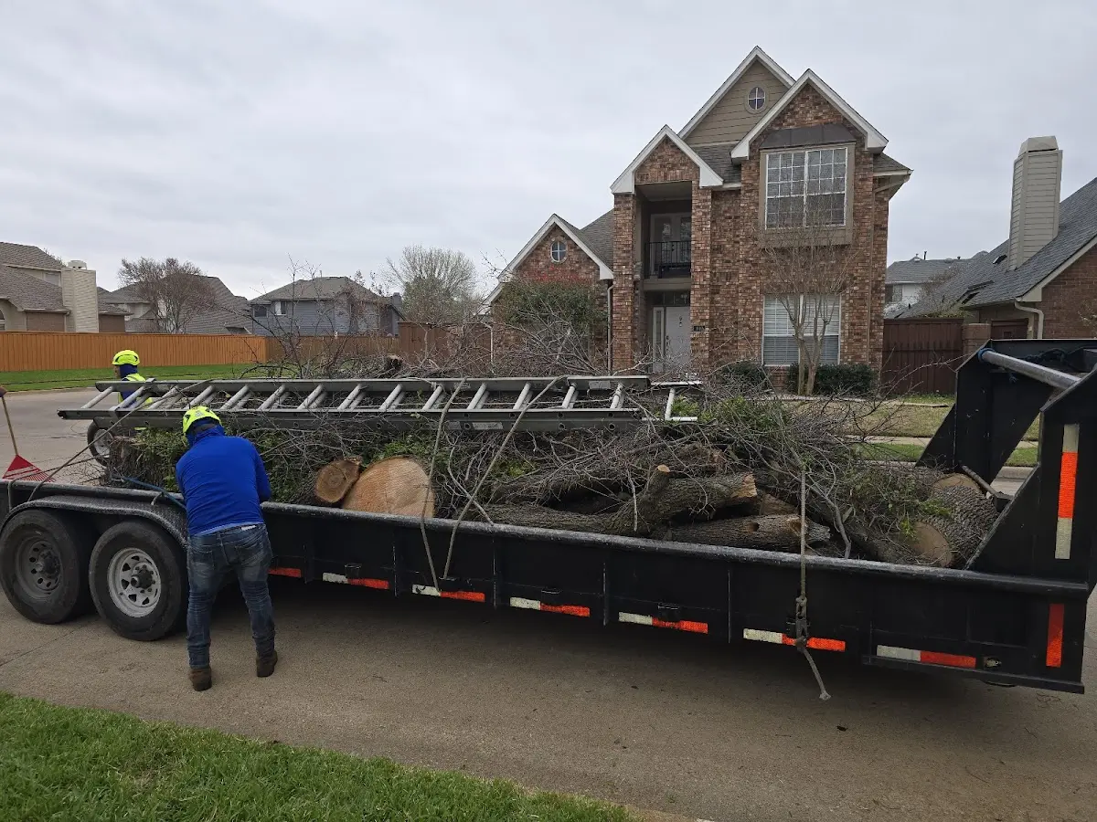 Expert Lot Clearing with proper safety equipment in Talihina
